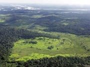 Considerations of ecological sustainability of the Brazilian Biodiesel Program