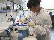 Reunión para fomentar cultivos más rentables de microalgas