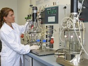 El Cener investiga para obtener bioetanol de restos de melocotones y kiwis