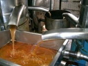 Los biocarburantes españoles, obligados a acreditar que son sostenibles