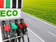 El Parlamento Europeo retoma la limitación a los biocarburantes de cultivos alimentarios