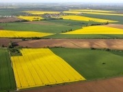 Propuestas para llegar al 7% de biocarburantes de cultivos en la UE