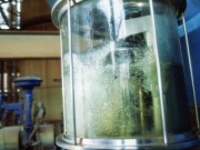 Crece el uso de etanol para fabricar plástico