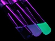 Al etanol sí le viene bien la bacteria E. coli