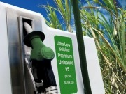 EU-produced ethanol keeps petrol prices down