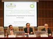 Un foro de BP pide flexibilizar los objetivos de biocarburantes