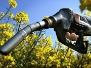 IDAE e Industria ocultan la purga en su Departamento de Biocarburantes