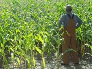 Piden un 15% de biocarburantes en el transporte mundial para 2030