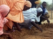 Compañías occidentales acaparan la producción de biocarburantes en África