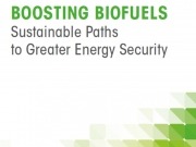 Irena asegura que con cultivos y residuos se cubriría toda la demanda de combustibles para el transporte