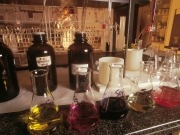 Green miracle: from toilet to tank bioenergy