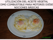 El libro que enseña cómo utilizar el aceite vegetal en el coche