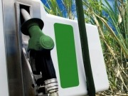 Biofuels in Mexico: the foundations for an unborn industry