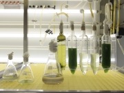 Las microalgas para biocarburantes llegan a la T4 de Barajas