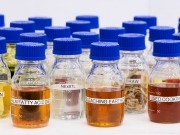 El mayor productor del mundo de hidrobiodiésel aumenta su fabricación con residuos