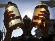 Navy quietly continues testing biofuels