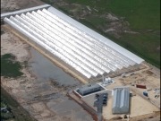 Las algas abren nuevas puertas a los biocarburantes desde Cádiz