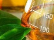 Buscan desarrollar enzimas para fabricar biocombustibles