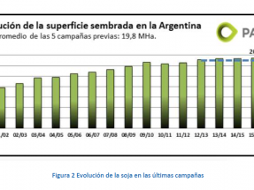 “Argentina no cultiva soja para producir biodiésel”