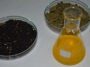 Aceite de colza + diésel = -17,6% de CO2