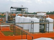 Se incrementa la inversión francesa en bioenergía