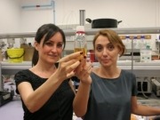 Mayor eficiencia en la producción de biodiésel con ultrasonidos e insectos