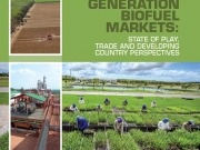 Etanol de segunda generación: mucha capacidad y poca producción mundial