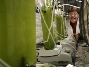 Biofuels from algae pose sustainability concern, US study finds
