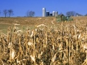 Germany to assist Ukraine in developing bio-fuel production