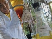 Saudi and Indian firms team for bio-fuel plant