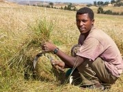 Sixty-two countries now have biofuels-friendly policies, GRFA says