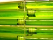 W2 Energy signs agreement to purchase majority stake in AM Biofuels