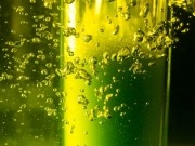 Exxon Mobil restructuring algae bio-fuel effort
