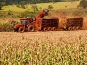 Ceres and Syngenta extend bio-fuel efforts in Brazil