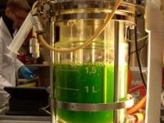 Algae may be a potential source of biofuels even in cool climate, researchers say