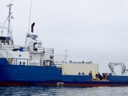 Ship Sails on 100 Percent Biofuel for 1 Year
