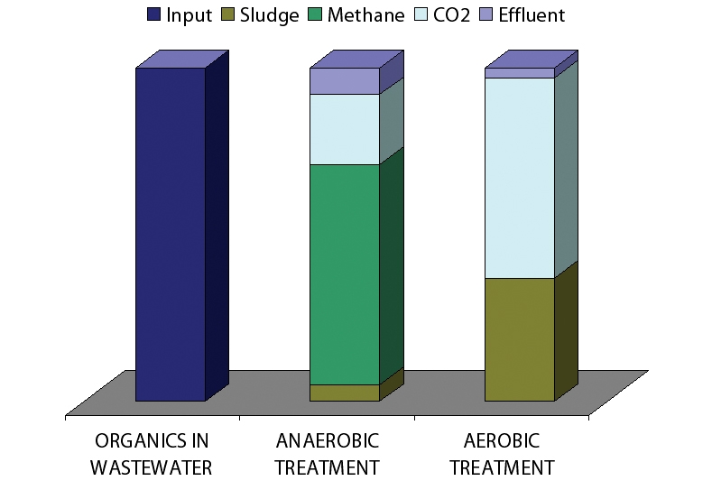 Aerobic v Anaerobic