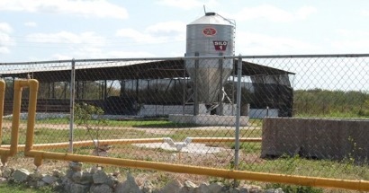 Impulsan biodigestores en la industria agropecuaria