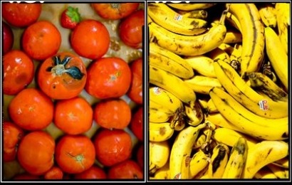 Fraunhofer turns brown bananas and squashed tomatoes into useful biogas