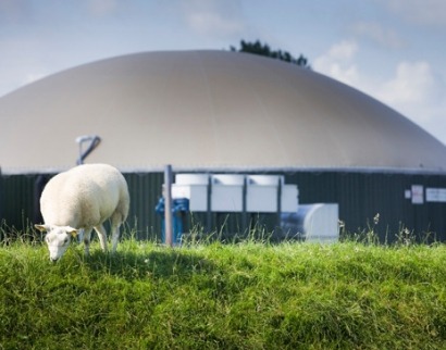Biofuels U-turn threatens Europe’s biogas lead