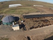 El INTI propone que los biodigestores que sólo tratan efluentes produzcan biogás