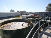 First milk now beer: bioenergy cuts energy costs by 15%