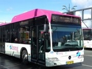 Holanda se consolida entre los países con biogás en el transporte