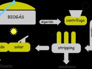 Biogás como generador de fertilizantes eficientes y ecológicos