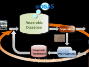 Proyecto para optimizar la producción de biogás con la paja del estiércol