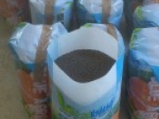 En marcha la planta piloto de fertilizantes más eficientes gracias al biogás