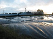 Pig farms become less stinky down under