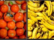 Fraunhofer turns brown bananas and squashed tomatoes into useful biogas