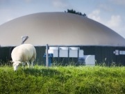 Biofuels U-turn threatens Europe’s biogas lead