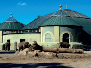 Biogás a partir de estiércol animal en los zoos más virtuosos